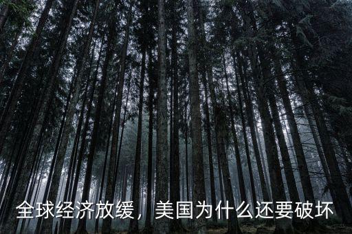 全球經(jīng)濟(jì)放緩，美國(guó)為什么還要破壞