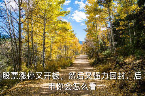 股票漲停又開板，然后又強(qiáng)力回封，后市你會(huì)怎么看
