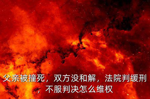 父親被撞死，雙方?jīng)]和解，法院判緩刑，不服判決怎么維權(quán)