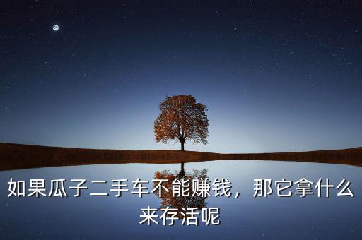 如果瓜子二手車不能賺錢，那它拿什么來存活呢