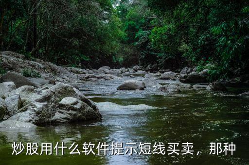 炒股用什么軟件提示短線買賣，那種