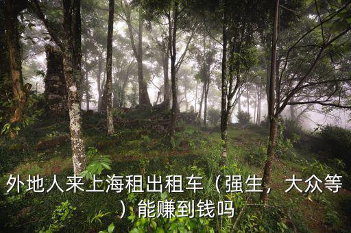 外地人來上海租出租車（強生，大眾等）能賺到錢嗎