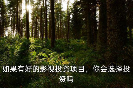 如果有好的影視投資項(xiàng)目，你會選擇投資嗎