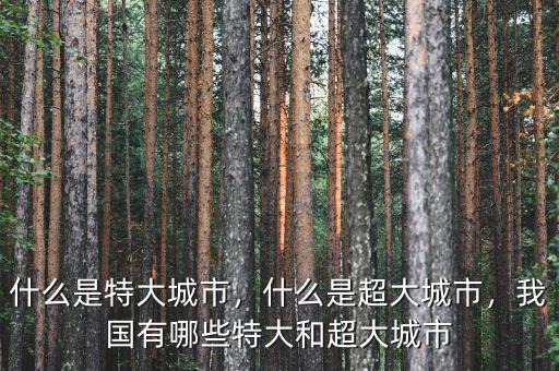 什么是特大城市，什么是超大城市，我國有哪些特大和超大城市