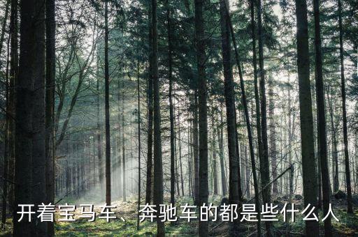 開著寶馬車、奔馳車的都是些什么人