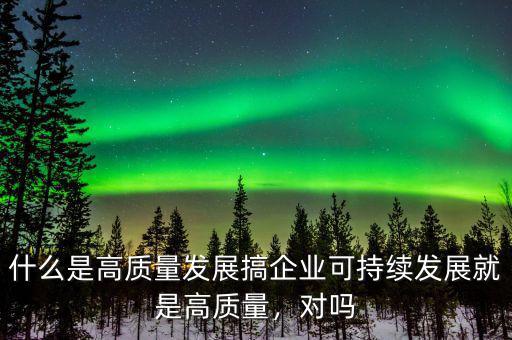 什么是高質(zhì)量發(fā)展搞企業(yè)可持續(xù)發(fā)展就是高質(zhì)量，對(duì)嗎