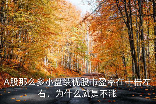 A股那么多小盤績優(yōu)股市盈率在十倍左右，為什么就是不漲
