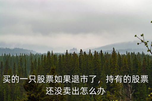 退市后買(mǎi)的股票怎么辦,買(mǎi)的一只股票如果退市了