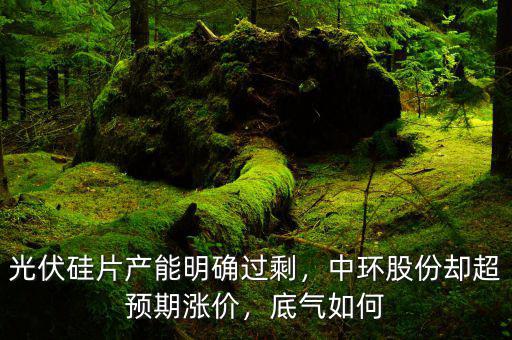光伏硅片產(chǎn)能明確過剩，中環(huán)股份卻超預(yù)期漲價(jià)，底氣如何