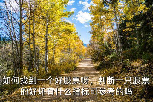 如何找到一個好股票呀，判斷一只股票的好壞有什么指標可參考的嗎