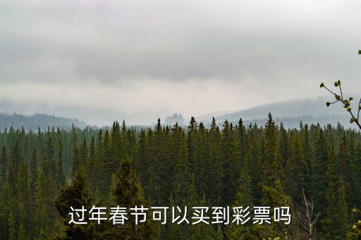彩票網(wǎng)點(diǎn)過(guò)年怎么安排的,過(guò)年春節(jié)可以買到彩票嗎