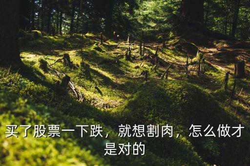 買了股票一下跌，就想割肉，怎么做才是對的