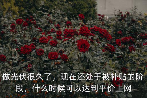 做光伏很久了，現(xiàn)在還處于被補貼的階段，什么時候可以達到平價上網(wǎng)