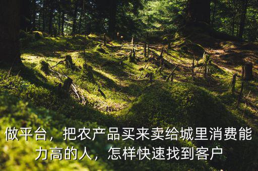 做平臺，把農(nóng)產(chǎn)品買來賣給城里消費能力高的人，怎樣快速找到客戶
