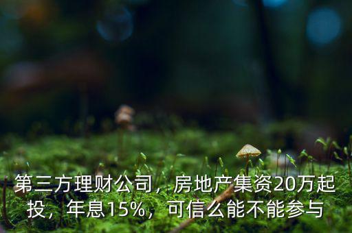 第三方理財公司，房地產(chǎn)集資20萬起投，年息15%，可信么能不能參與