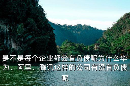 是不是每個(gè)企業(yè)都會(huì)有負(fù)債呢為什么華為、阿里、騰訊這樣的公司有沒有負(fù)債呢
