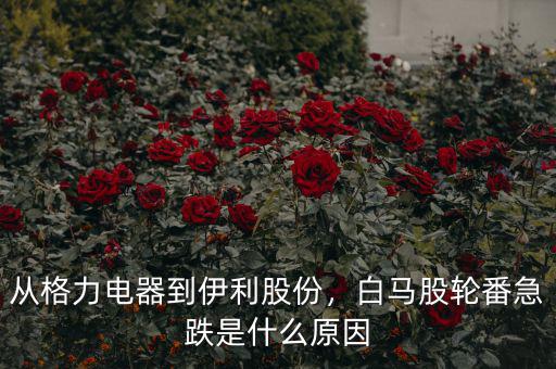 從格力電器到伊利股份，白馬股輪番急跌是什么原因