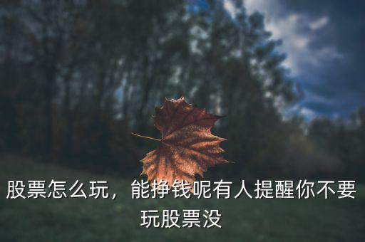 股票怎么玩，能掙錢呢有人提醒你不要玩股票沒