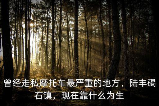 曾經(jīng)走私摩托車最嚴(yán)重的地方，陸豐碣石鎮(zhèn)，現(xiàn)在靠什么為生
