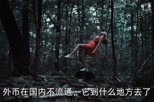 外幣在國內(nèi)不流通，它到什么地方去了