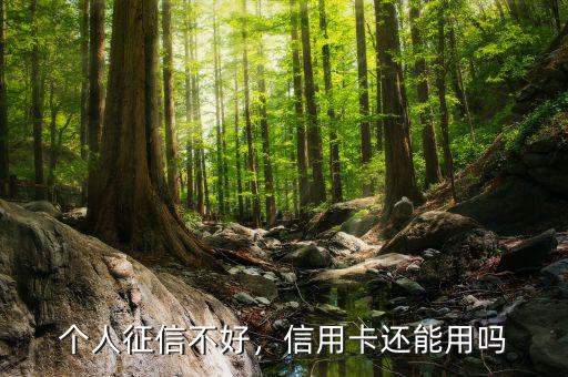 個(gè)人征信不好，信用卡還能用嗎