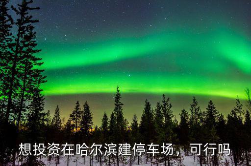 想投資在哈爾濱建停車場(chǎng)，可行嗎