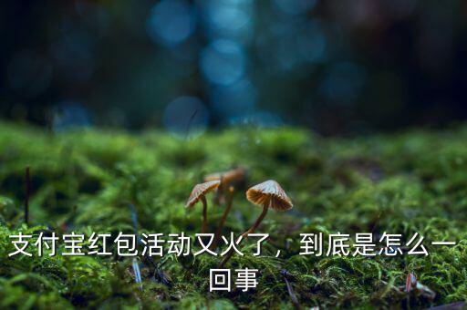 支付寶紅包活動(dòng)又火了，到底是怎么一回事