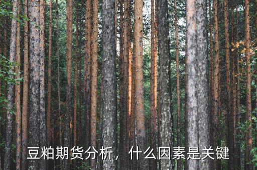 豆粕期貨分析，什么因素是關鍵