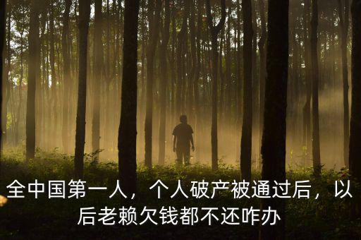 全中國(guó)第一人，個(gè)人破產(chǎn)被通過(guò)后，以后老賴欠錢都不還咋辦