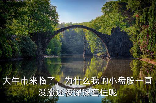 為什么現(xiàn)在小盤(pán)股不漲,為什么就是不漲