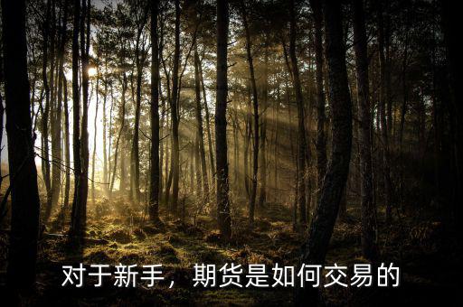 對(duì)于新手，期貨是如何交易的