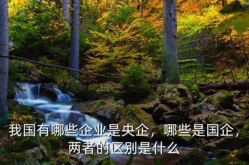 我國有哪些企業(yè)是央企，哪些是國企，兩者的區(qū)別是什么