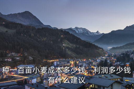 種一百畝小麥成本多少錢，利潤多少錢有什么建議