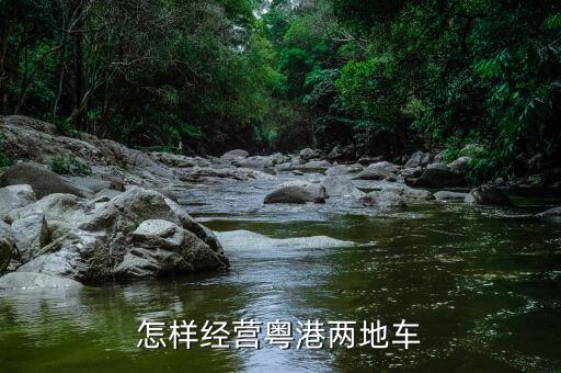 粵港兩地車(chē)牌為什么都是豪車(chē),粵港兩地車(chē)牌能否出廣東省