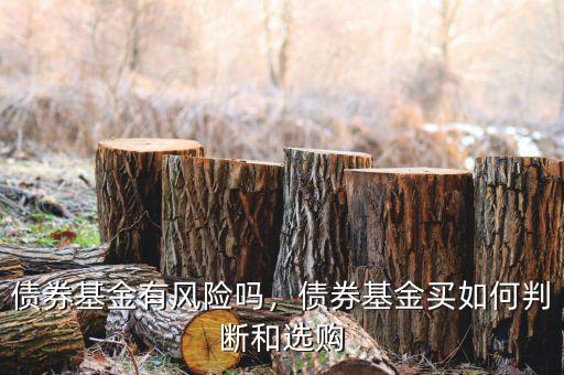 債券基金有風(fēng)險(xiǎn)嗎，債券基金買如何判斷和選購