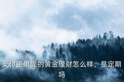 支付寶里面的黃金理財(cái)怎么樣，是定期嗎