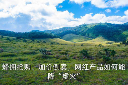 蜂擁?yè)屬?gòu)、加價(jià)倒賣，網(wǎng)紅產(chǎn)品如何能降“虛火”