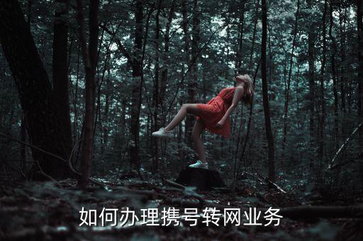 如何辦理攜號轉(zhuǎn)網(wǎng)業(yè)務