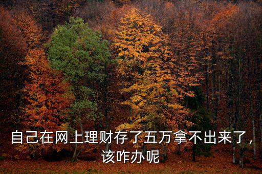 自己在網(wǎng)上理財存了五萬拿不出來了，該咋辦呢