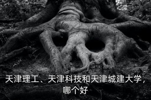 天津理工、天津科技和天津城建大學(xué)，哪個(gè)好