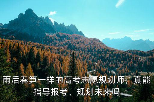 雨后春筍一樣的高考志愿規(guī)劃師，真能指導報考、規(guī)劃未來嗎