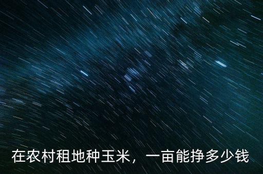 在農村租地種玉米，一畝能掙多少錢