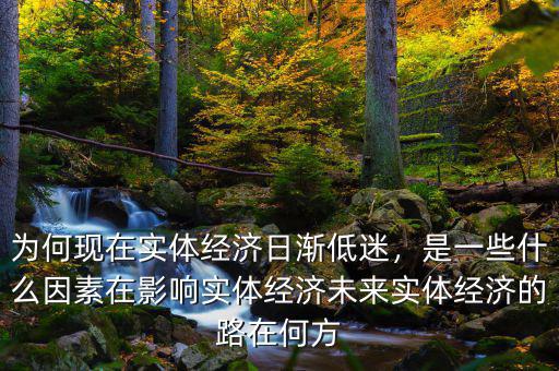 為何現(xiàn)在實體經(jīng)濟日漸低迷，是一些什么因素在影響實體經(jīng)濟未來實體經(jīng)濟的路在何方