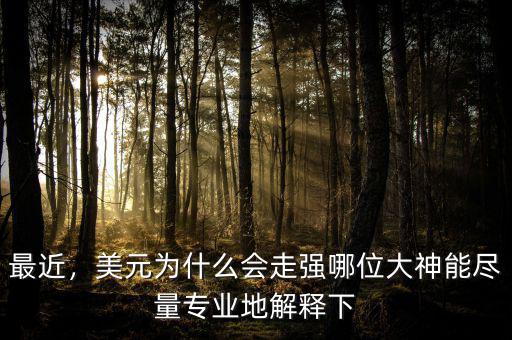 最近，美元為什么會(huì)走強(qiáng)哪位大神能盡量專業(yè)地解釋下