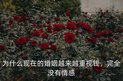 為什么現(xiàn)在的婚姻越來越重視錢，完全沒有情感