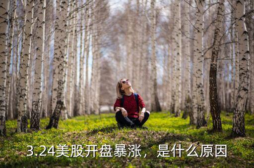 3.24美股開盤暴漲，是什么原因