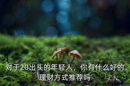 對(duì)于20出頭的年輕人，你有什么好的理財(cái)方式推薦嗎