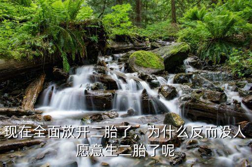 現(xiàn)在全面放開(kāi)二胎了，為什么反而沒(méi)人愿意生二胎了呢