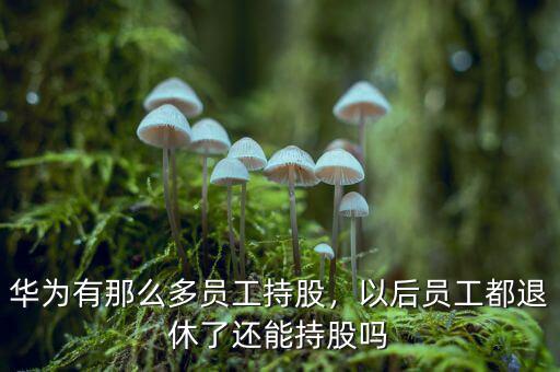 華為有那么多員工持股，以后員工都退休了還能持股嗎