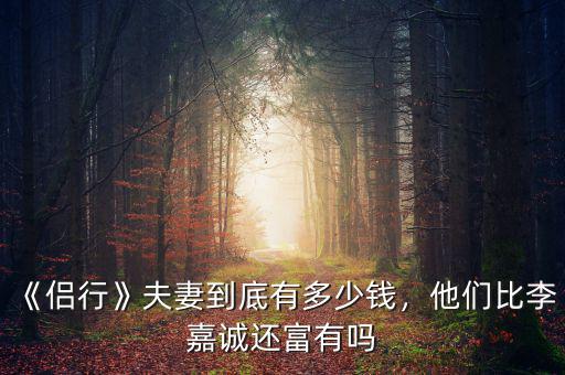 《侶行》夫妻到底有多少錢，他們比李嘉誠(chéng)還富有嗎